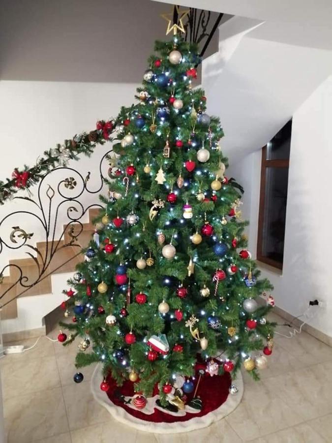 Hotel La Casa Alana Viseu de Jos Zewnętrze zdjęcie