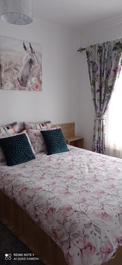 Hotel La Casa Alana Viseu de Jos Zewnętrze zdjęcie